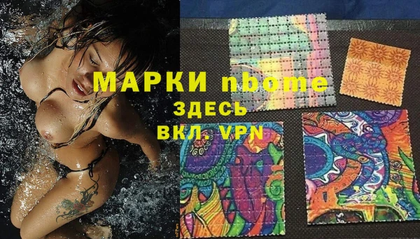 стаф Бежецк