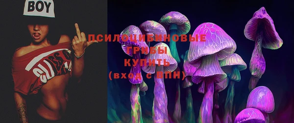 марки nbome Белая Холуница