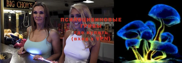 тгк Абинск
