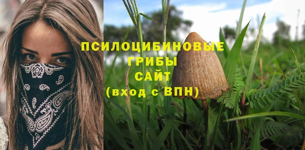 прущие крисы Абдулино
